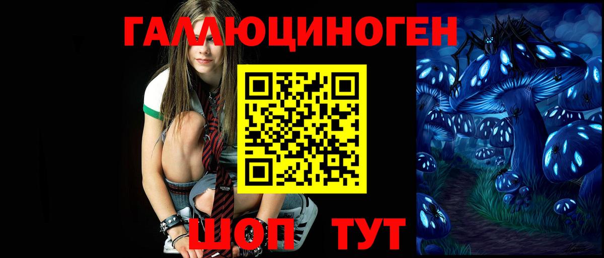 Урус-Мартан  Галлюциногенные грибы мухоморы  Вход с VPN 