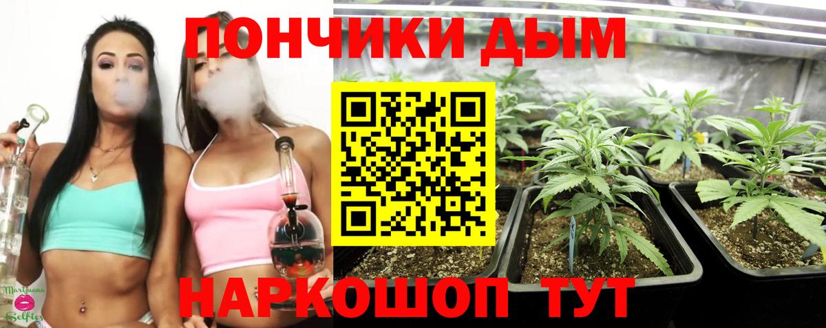 Урус-Мартан  Конопля гибрид  Вход с VPN  Бошки марихуана тримм 